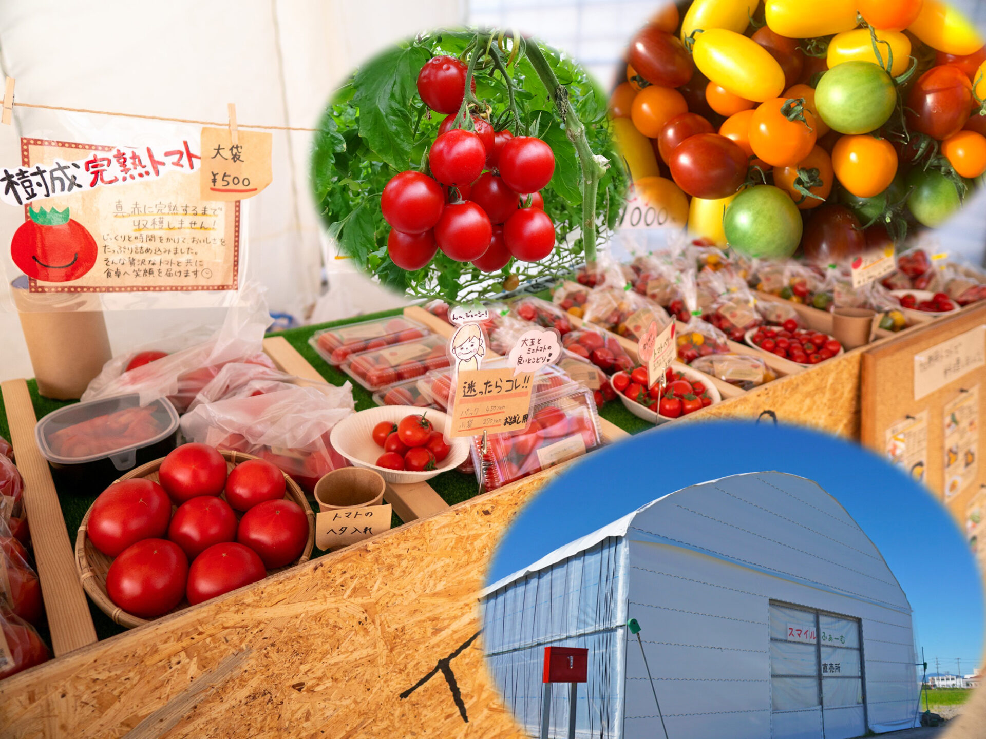 消費者に近づく野菜づくり 限界を突破するために、まずは地域に